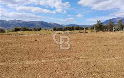 Denizli Serinhisar Cumhuriyet Mahallesinde 5.485 M² Satılık Tarla