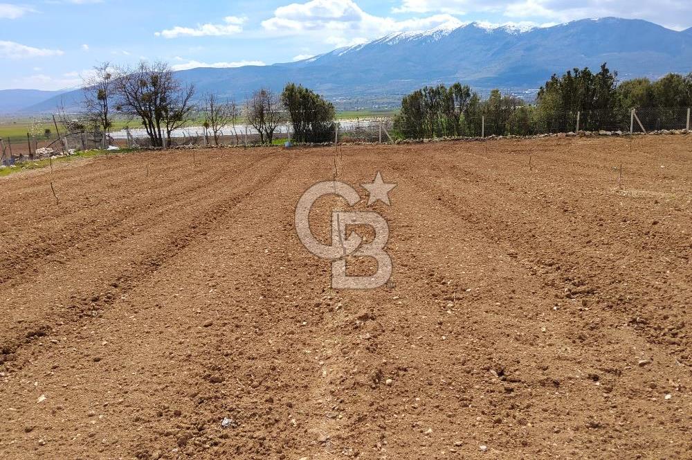 Denizli Serinhisar Cumhuriyet Mahallesinde 5.485 M² Satılık Tarla