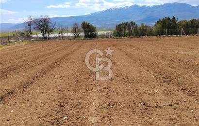 Denizli Serinhisar Cumhuriyet Mahallesinde 5.485 M² Satılık Tarla