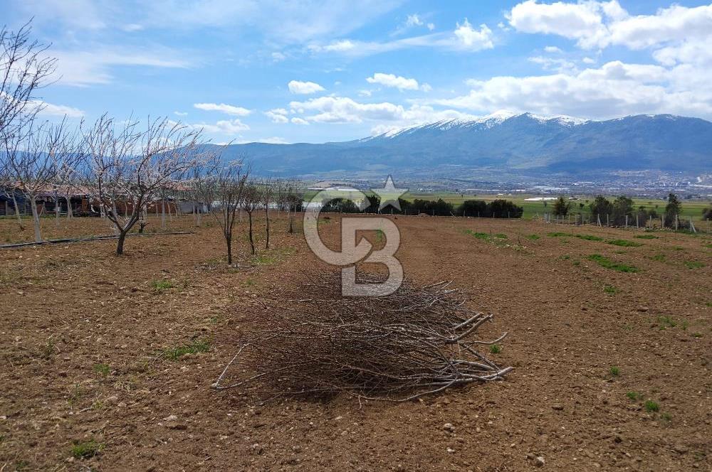 Denizli Serinhisar Cumhuriyet Mahallesinde 5.485 M² Satılık Tarla