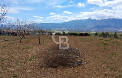 Denizli Serinhisar Cumhuriyet Mahallesinde 5.485 M² Satılık Tarla