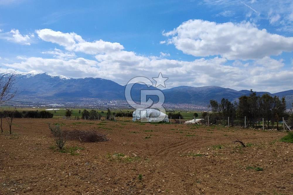 Denizli Serinhisar Cumhuriyet Mahallesinde 5.485 M² Satılık Tarla