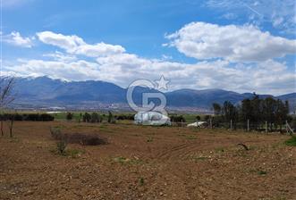 Denizli Serinhisar Cumhuriyet Mahallesinde 5.485 M² Satılık Tarla - 1 - 341213