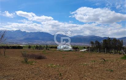 Denizli Serinhisar Cumhuriyet Mahallesinde 5.485 M² Satılık Tarla