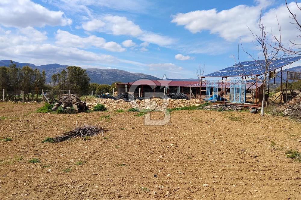 Denizli Serinhisar Cumhuriyet Mahallesinde 5.485 M² Satılık Tarla
