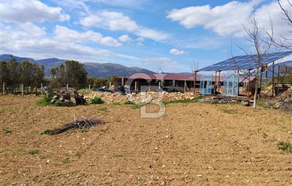 Denizli Serinhisar Cumhuriyet Mahallesinde 5.485 M² Satılık Tarla