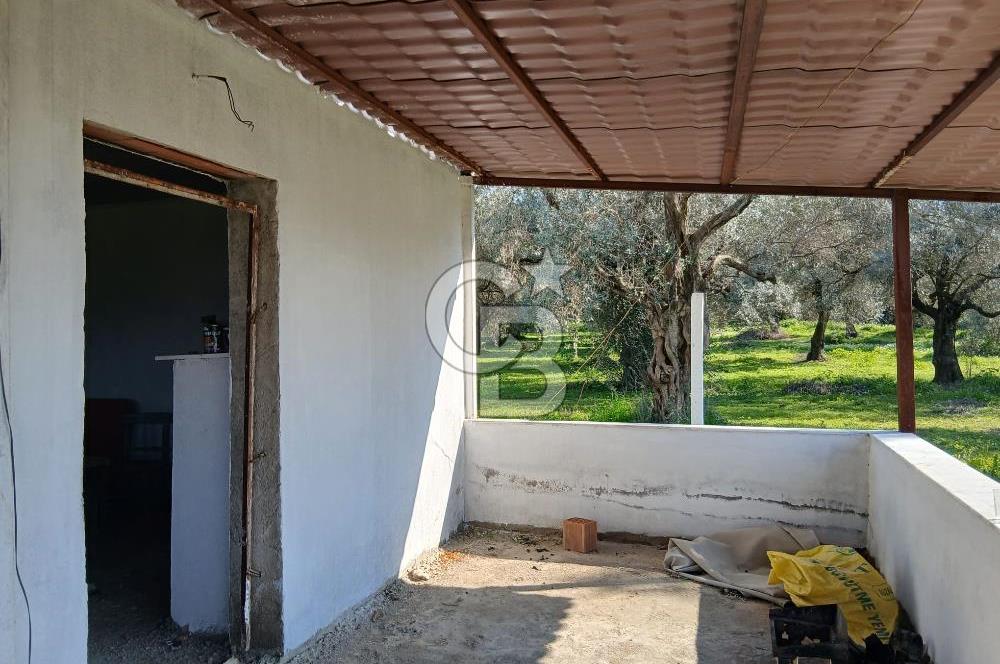 Tire Büyükkale Satılık Yol Üstü Ev Ve 6 Dönüm Meyvelik