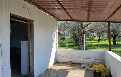 Tire Büyükkale Satılık Yol Üstü Ev Ve 6 Dönüm Meyvelik