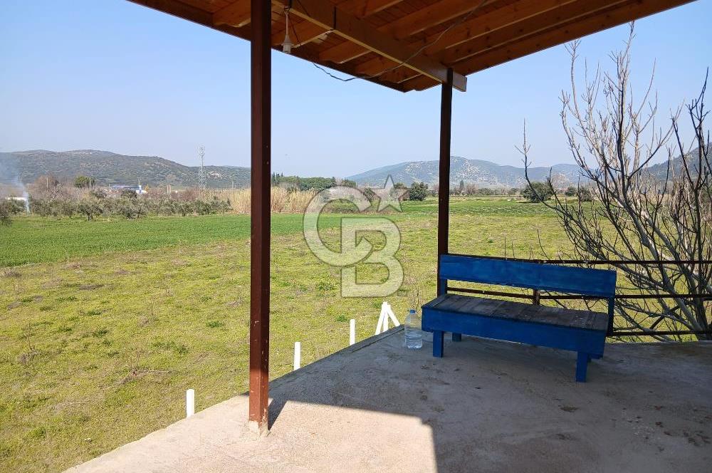 Tire Büyükkale Satılık Yol Üstü Ev Ve 6 Dönüm Meyvelik