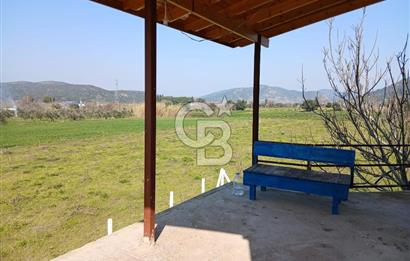 Tire Büyükkale Satılık Yol Üstü Ev Ve 6 Dönüm Meyvelik