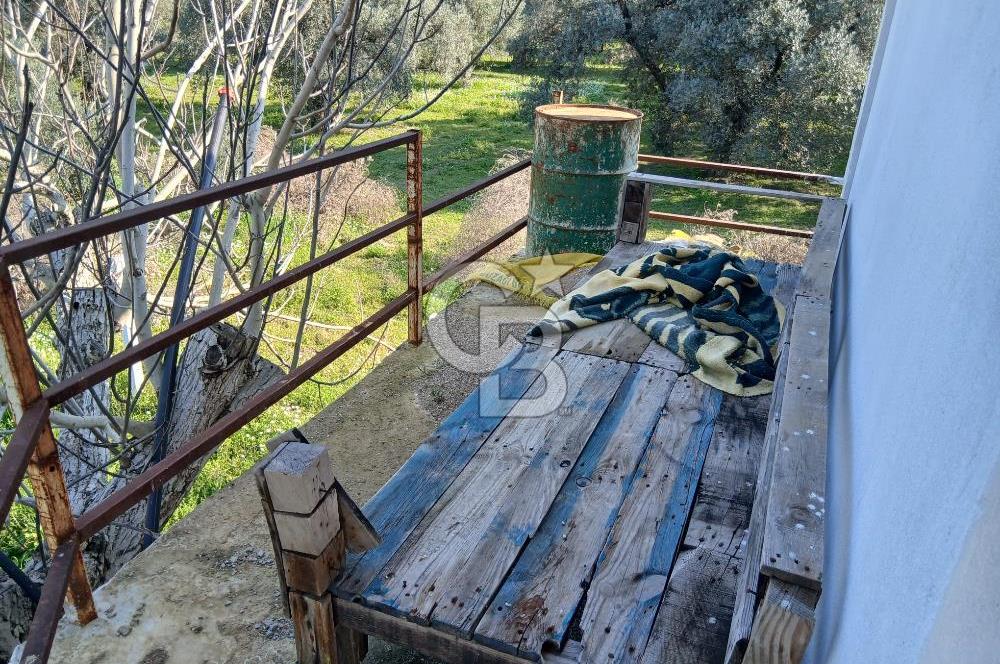 Tire Büyükkale Satılık Yol Üstü Ev Ve 6 Dönüm Meyvelik