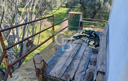 Tire Büyükkale Satılık Yol Üstü Ev Ve 6 Dönüm Meyvelik