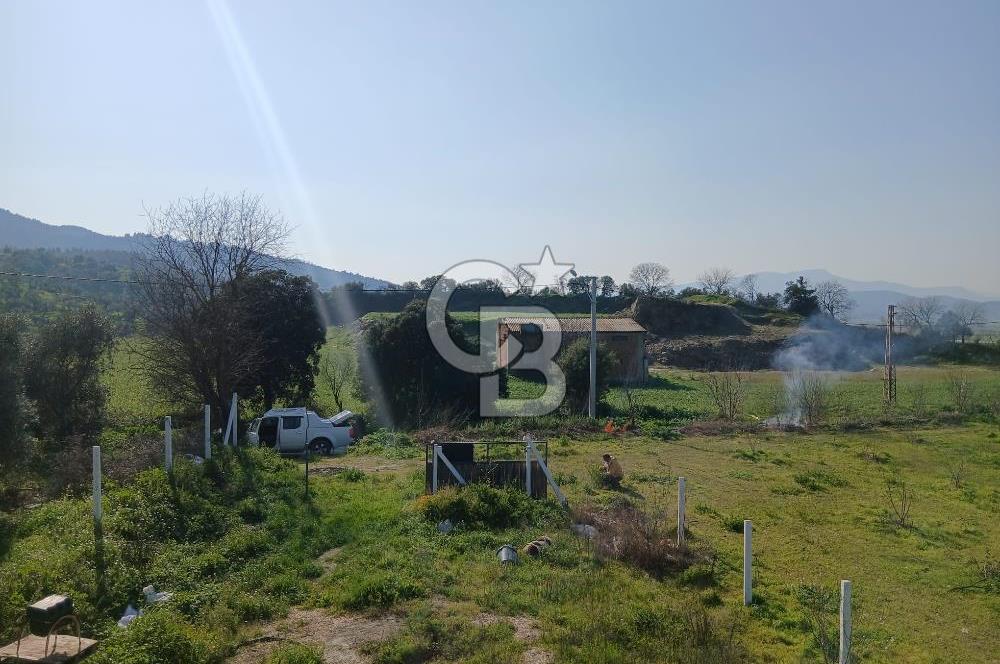 Tire Büyükkale Satılık Yol Üstü Ev Ve 6 Dönüm Meyvelik