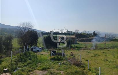 Tire Büyükkale Satılık Yol Üstü Ev Ve 6 Dönüm Meyvelik