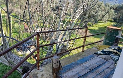 Tire Büyükkale Satılık Yol Üstü Ev Ve 6 Dönüm Meyvelik