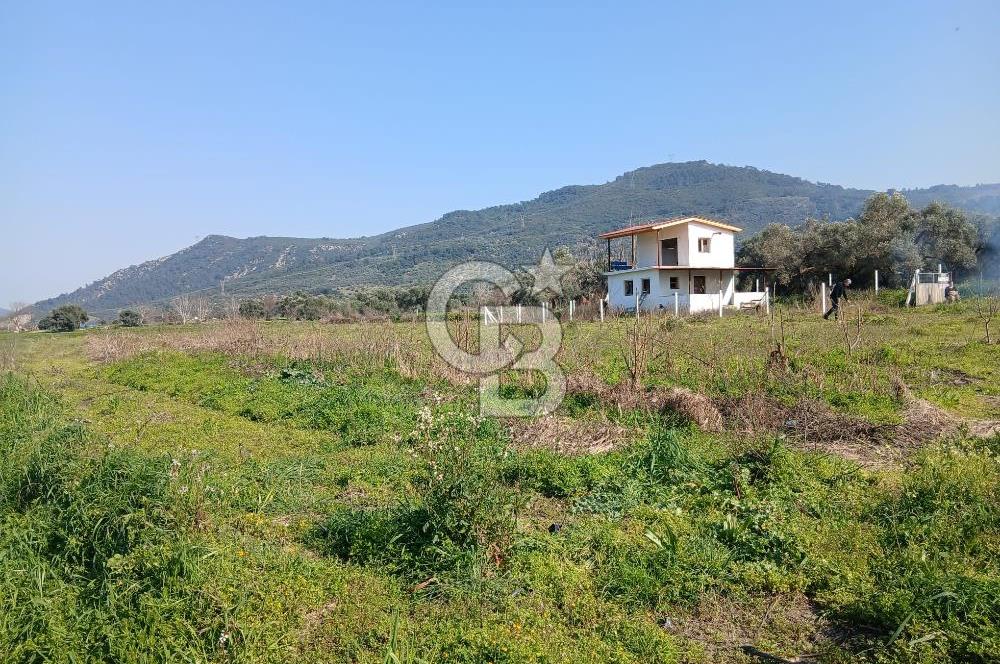 Tire Büyükkale Satılık Yol Üstü Ev Ve 6 Dönüm Meyvelik