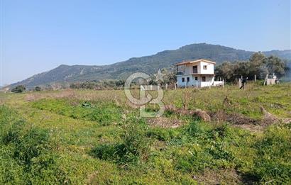 Tire Büyükkale Satılık Yol Üstü Ev Ve 6 Dönüm Meyvelik