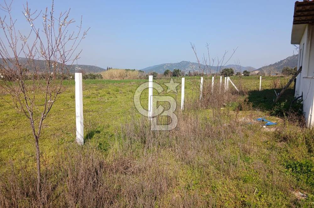 Tire Büyükkale Satılık Yol Üstü Ev Ve 6 Dönüm Meyvelik