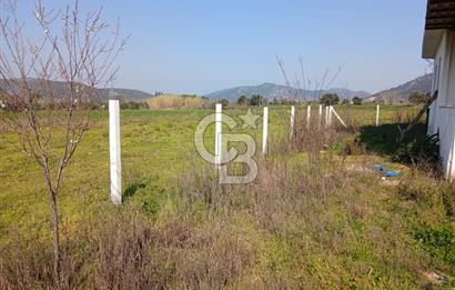 Tire Büyükkale Satılık Yol Üstü Ev Ve 6 Dönüm Meyvelik