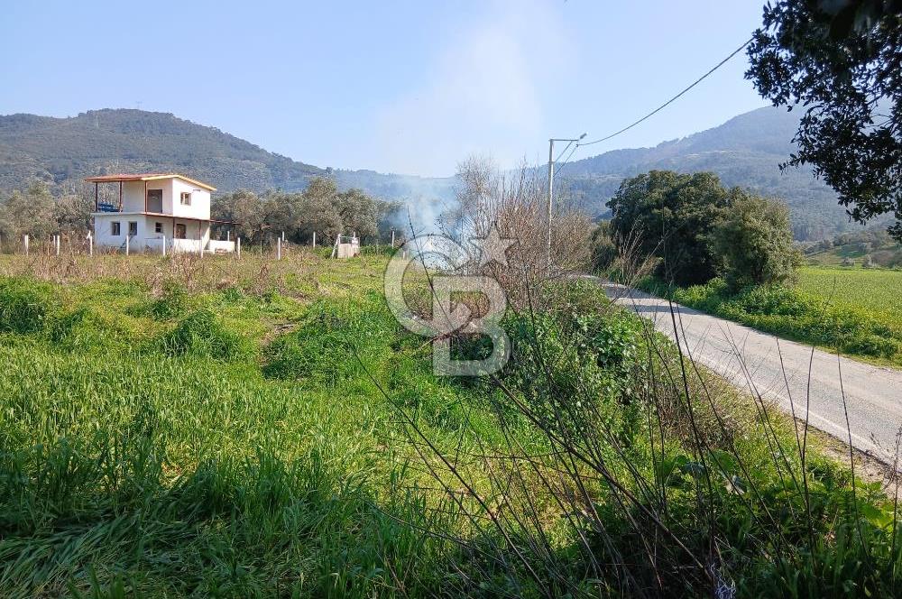 Tire Büyükkale Satılık Yol Üstü Ev Ve 6 Dönüm Meyvelik