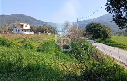 Tire Büyükkale Satılık Yol Üstü Ev Ve 6 Dönüm Meyvelik