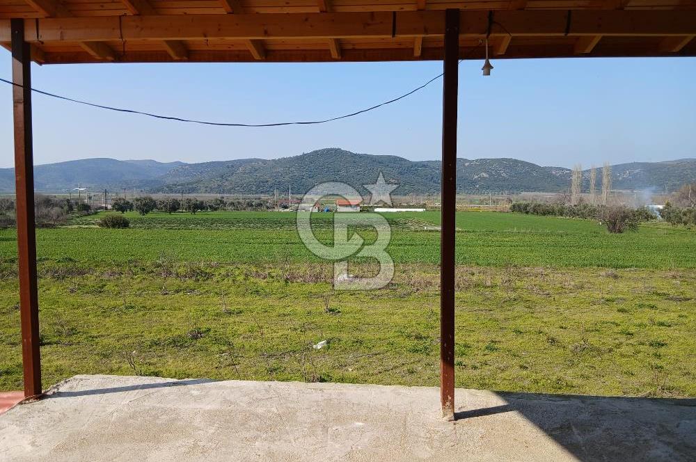 Tire Büyükkale Satılık Yol Üstü Ev Ve 6 Dönüm Meyvelik