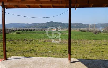 Tire Büyükkale Satılık Yol Üstü Ev Ve 6 Dönüm Meyvelik