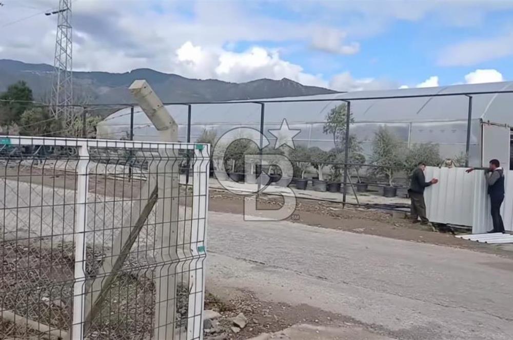 Bayındır da Yola 70 M Cepheli 16.405 M² Satılık Tarla