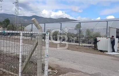 Bayındır da Yola 70 M Cepheli 16.405 M² Satılık Tarla