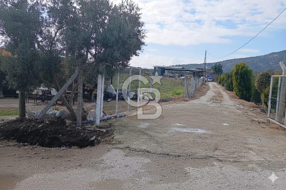 Bayındır da Yola 70 M Cepheli 16.405 M² Satılık Tarla