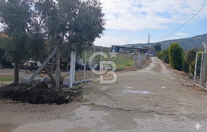 Bayındır da Yola 70 M Cepheli 16.405 M² Satılık Tarla