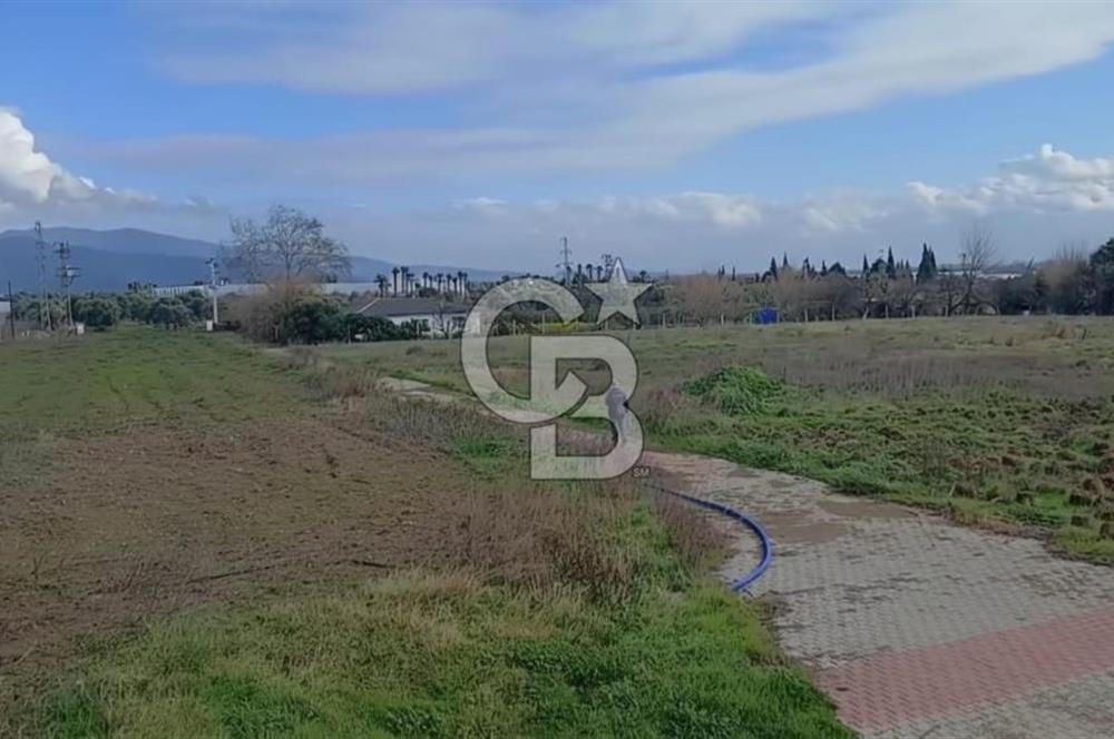 Bayındır da Yola 70 M Cepheli 16.405 M² Satılık Tarla