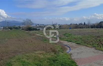 Bayındır da Yola 70 M Cepheli 16.405 M² Satılık Tarla