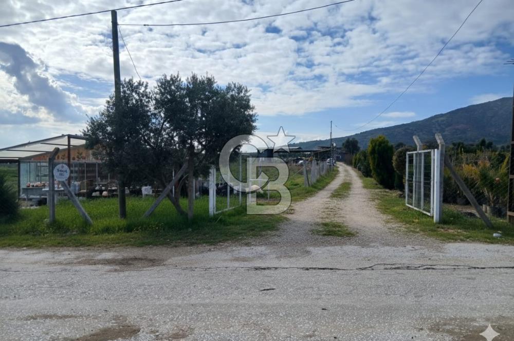 Bayındır da Yola 70 M Cepheli 16.405 M² Satılık Tarla
