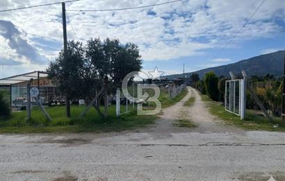 Bayındır da Yola 70 M Cepheli 16.405 M² Satılık Tarla