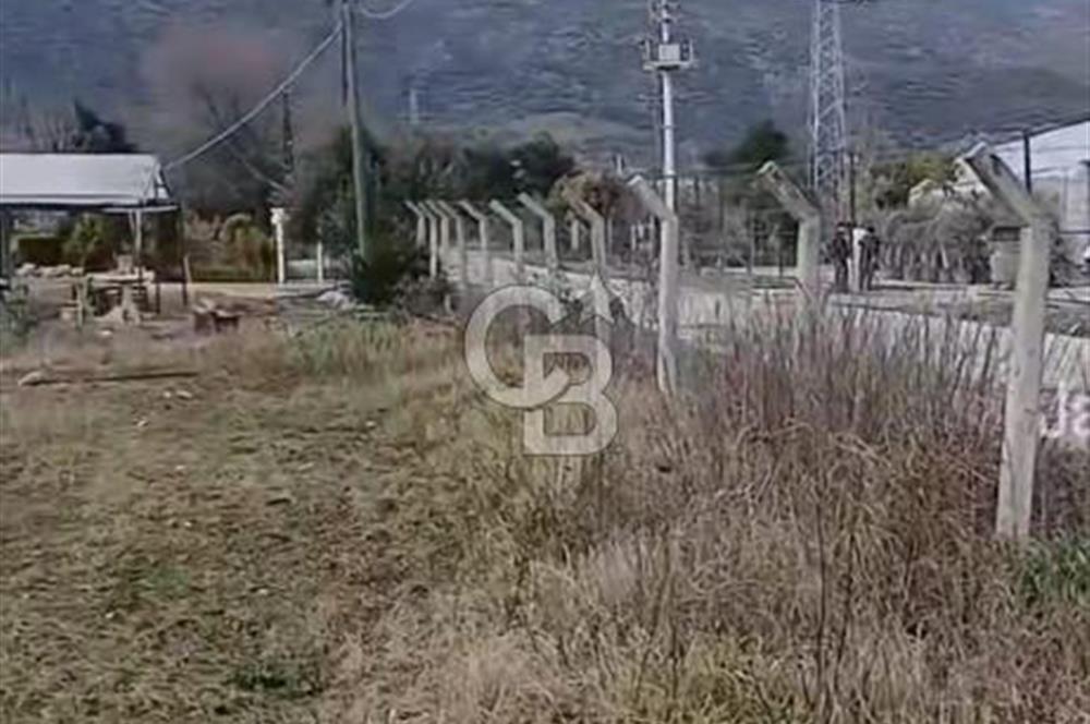 Bayındır da Yola 70 M Cepheli 16.405 M² Satılık Tarla