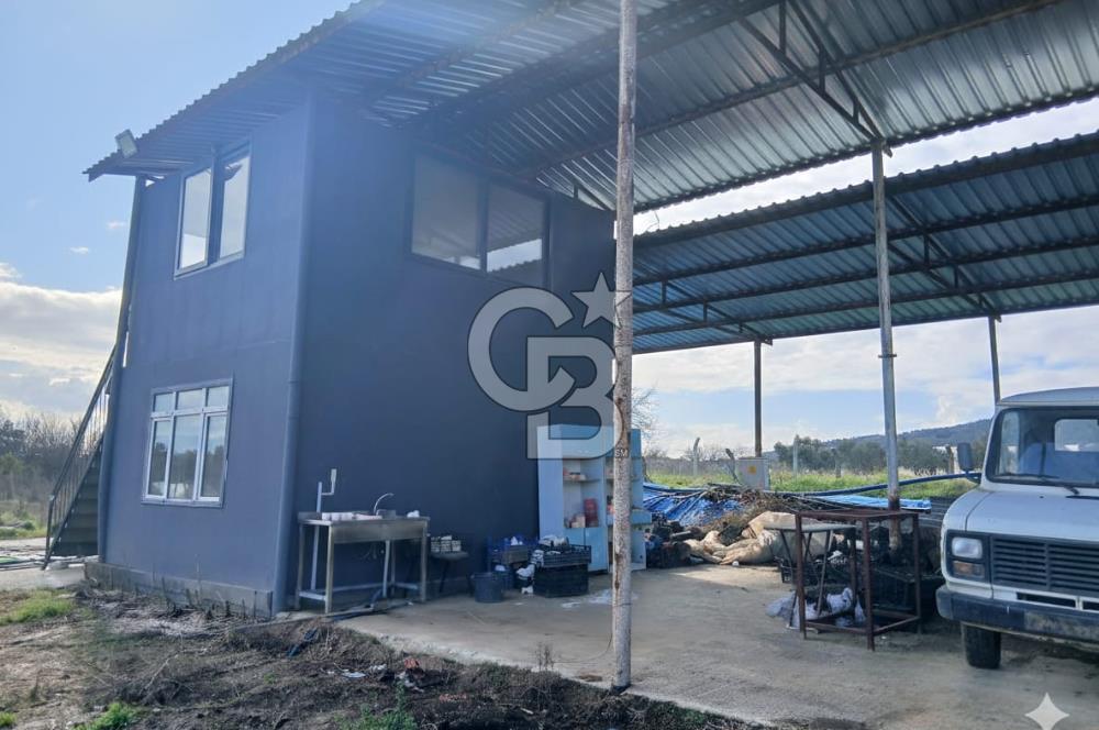 Bayındır da Yola 70 M Cepheli 16.405 M² Satılık Tarla