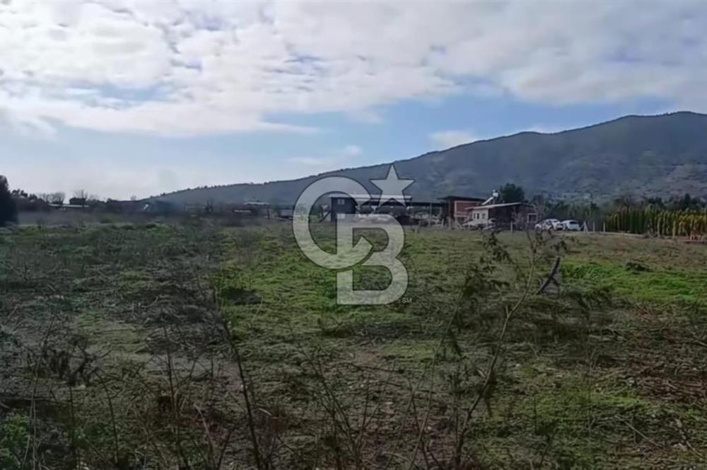 Bayındır da Yola 70 M Cepheli 16.405 M² Satılık Tarla