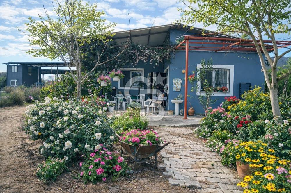 Bayındır da Yola 70 M Cepheli 16.405 M² Satılık Tarla