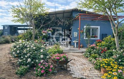 Bayındır da Yola 70 M Cepheli 16.405 M² Satılık Tarla