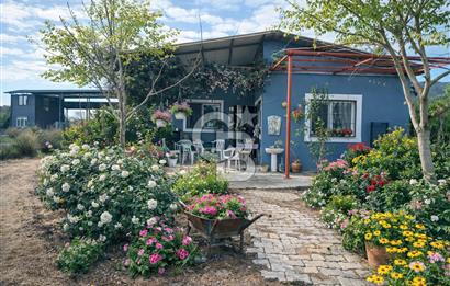 Bayındır da Yola 70 M Cepheli 16.405 M² Satılık Tarla