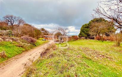 ÇANAKKALE BİGA KURUOBA KÖYÜNDE 342 m² SATILIK ARSA