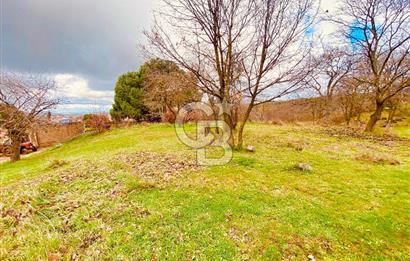 ÇANAKKALE BİGA KURUOBA KÖYÜNDE 342 m² SATILIK ARSA