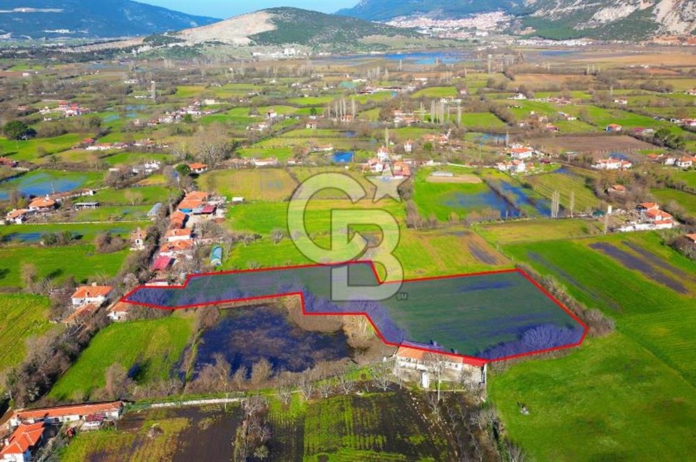 MENTEŞE KARABAĞLAR YAYLASI'NDA 8106 M2 SATILIK TARLA