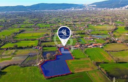 MENTEŞE KARABAĞLAR YAYLASI'NDA 8106 M2 SATILIK TARLA