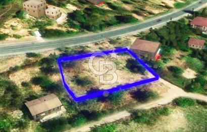 MERSIN/TARSUS/GULEK KOYUNDE KOYICI IMARLI ARAZI