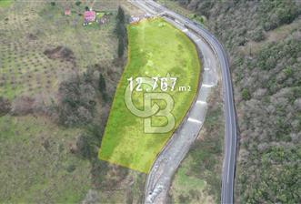 YOMRA'DA SATILIK TİCARİ İMARLI 12 DÖNÜM ARSA FIRSATI - 1 - 341235