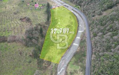 YOMRA'DA SATILIK TİCARİ İMARLI 12 DÖNÜM ARSA FIRSATI