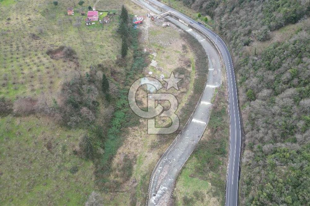 YOMRA'DA SATILIK TİCARİ İMARLI 12 DÖNÜM ARSA FIRSATI