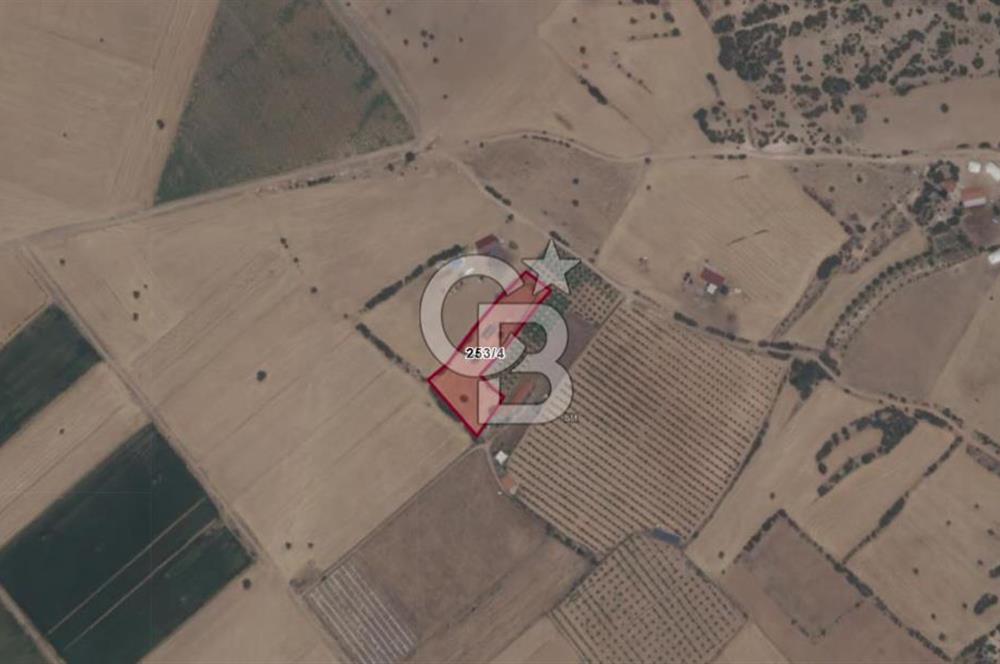 Denizli Serinhisar Cumhuriyet Mahallesinde 5.485 M² Satılık Tarla